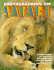 Photographing on Safari: a Field Guide to Wildlife Photography in East Africa