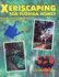 Xeriscaping for Florida Homes
