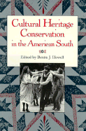 Cultural Heritage Conservation in the American South (Southern Anthropological Society Proceedings)