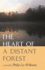 The Heart of a Distant Forest: a Novel