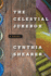 The Celestial Jukebox: a Novel
