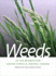 Weeds of the Midwestern United States and Central Canada (Wormsloe Foundation Publication, 31)