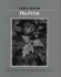 The Print (New Ansel Adams Photography Series, Book 3)
