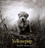 Yellowpup