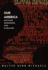 Our America: Nativism, Modernism, and Pluralism (Post-Contemporary Interventions)