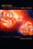 Meeting the Universe Halfway: Quantum Physics and the Entanglement of Matter and Meaning