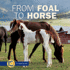 From Foal to Horse (Start to Finish)