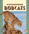Pouncing Bobcats (Pull Ahead Books? Animals)