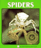 Spiders (Lerner Natural Science Book)