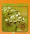 Chirping Insects (a Lerner Natural Science Book)