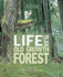Life in an Old Growth Forest (Ecoystems in Action)