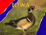 Iowa (Hello Usa Series)