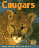 Cougars (Early Bird Nature Books)