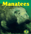 Manatees (Early Bird Nature Books)