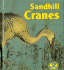 Sandhill Cranes (Early Bird Nature Books)