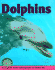 Dolphins (Early Bird Nature Books)