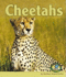 Cheetahs (Early Bird Nature Books)
