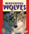 Watchful Wolves (Pull Ahead Books-Animals)