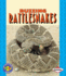 Buzzing Rattlesnakes (Pull Ahead Books-Animals)