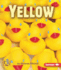 Yellow (First Step Nonfiction Colors)