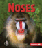 Noses Format: Paperback