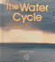 The Water Cycle (First Step Nonfiction)