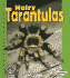 Hairy Tarantulas (Pull Ahead Books)