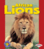 African Lions (Pull Ahead Books, Animals)