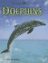 Dolphins (Revised Edition) (Nature Watch)