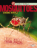 Mosquitoes: Tiny Insect Troublemakers (Insect World)