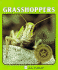 Grasshoppers (Lerner Natural Science Book. )