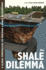 The Shale Dilemma: a Global Perspective on Fracking and Shale Development (Pittsburgh Hist Urban Environ)