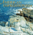 American Impressionism: Treasures From the Smithsonian American Art Museum