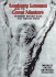 Anatomy Lessons of the Great Masters (Practical Art Books)