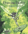 Drawing Faeries: a Believer's Guide
