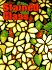 Stained Glass Guide