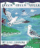 Gulls...Gulls...Gulls...