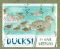 Ducks!