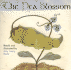 Pea Blossom