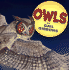 Owls (New & Updated)