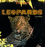 Leopards (Big Cats)