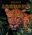 Jaguars (Big Cats)