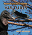 Vultures (Really Wild Life of Birds of Prey)