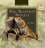 The Bearded Dragon (Lizard Library)