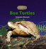 Box Turtles (the Library of Turtles and Tortoises)