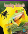 Amazing Animals: Multiplying Multidigit Numbers by a One-Digit Number with Regrouping