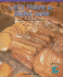 Let's Have a Bake Sale: Calculating Profit and Unit Cost