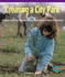 Creating a City Park: Dividing Three-Digit Numbers By One-Digit Numbers Without Remainders (Powermath)