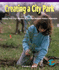 Creating a City Park: Dividing Three-Digit Numbers by One-Digit Numbers Without Remainders