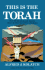 This is the Torah